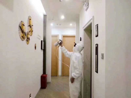 關于除甲醛的幾個真相，你不得不知！