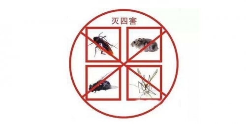 除四害一般都有哪些方法？